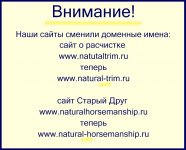IMG_20230421_002354.jpg