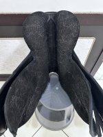 IMG_1157.jpeg