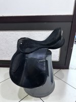 IMG_1155.jpeg