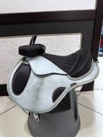 IMG_1153.jpeg
