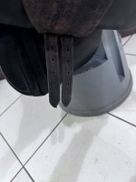 IMG_1150.jpeg