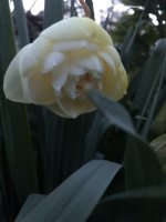 638D0233-383D-4BA0-A49B-3D5D2EF376DC.jpeg 638D0233-383D-4BA0-A49B-3D5D2EF376DC.jpeg