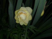 8A15BC44-22D9-46E3-B339-9E7F7D6745EA.jpeg 8A15BC44-22D9-46E3-B339-9E7F7D6745EA.jpeg