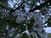 FE48B793-F44F-40DB-B7DD-BB5FF2D02C57.jpeg FE48B793-F44F-40DB-B7DD-BB5FF2D02C57.jpeg