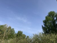 E68DBBD9-71D3-4D7E-BD3D-2187E9684C74.jpeg E68DBBD9-71D3-4D7E-BD3D-2187E9684C74.jpeg