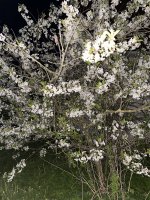 E7D586A5-2303-4EBF-A4E9-CAFAA34F7F9C.jpeg