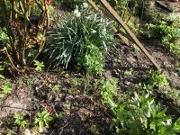 13330457-F327-4237-9494-E71495058719.jpeg 13330457-F327-4237-9494-E71495058719.jpeg