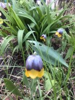 E4E702B0-4127-403F-BB0D-4C8FCABE5F2B.jpeg E4E702B0-4127-403F-BB0D-4C8FCABE5F2B.jpeg