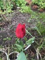 EFED5C3E-43DF-4270-A01C-ADD7C2E3749C.jpeg EFED5C3E-43DF-4270-A01C-ADD7C2E3749C.jpeg