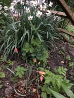 4B603E32-55D0-4881-8A5C-7941FE884D3D.jpeg 4B603E32-55D0-4881-8A5C-7941FE884D3D.jpeg