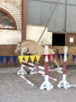 IMG_8119.jpeg