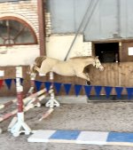 IMG_8121.jpeg