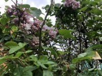 F8924358-FBB4-4988-9541-6AF0D3954192.jpeg F8924358-FBB4-4988-9541-6AF0D3954192.jpeg