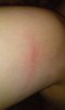 WP_20141005_003.jpg
