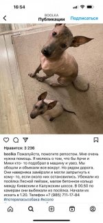 IMG_6315.jpeg