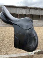 IMG_8083.jpeg