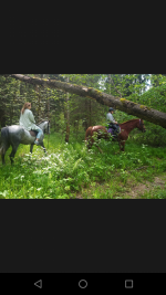 Screenshot_20230623-200654.png