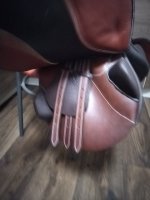 IMG_20230909_184707.jpg