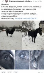 IMG_8136.jpeg