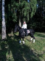 IMG_0297.jpeg