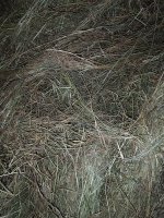 IMG_20230822_200415.jpg