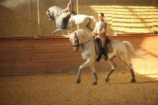 IMG_1627.JPG