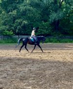 IMG_4625.jpeg