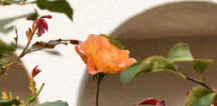 IMG_20231028_224427.jpg