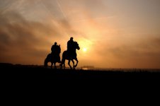 horse-back-riding-at-sunset-1394680.jpg