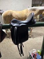 IMG_6754.jpeg