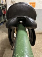 IMG_6751.jpeg