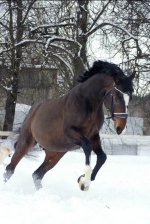 IMG_1436.jpeg