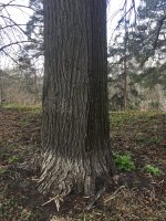 E3D896DD-D02A-454F-ADDB-18341F99A3D5.jpeg