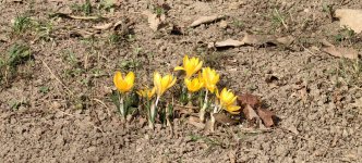 IMG_20240210_134901.jpg