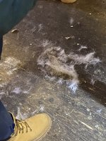 IMG_0670.jpeg