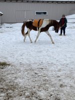 IMG_0673.jpeg