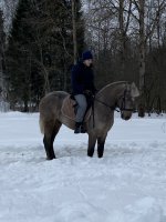 IMG_2463.jpeg