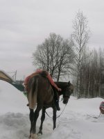 IMG_2535.jpeg