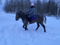 IMG_2267.jpeg