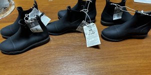 IMG_8644.jpeg