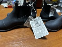 IMG_8646.jpeg