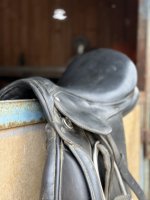 IMG_6667.jpeg