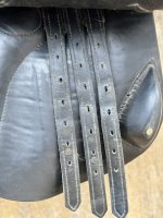 IMG_6665.jpeg