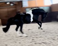 4370C31D-D781-4545-A3D5-DA417E7BE17D.jpeg