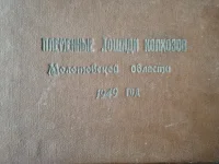 QKx8E6ofSd8.webp