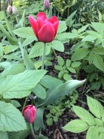 IMG_0876.jpeg