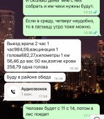 IMG_2485.jpeg