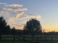 IMG_2645.jpeg