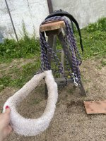IMG_2555.jpeg