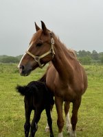 IMG_1525.jpeg